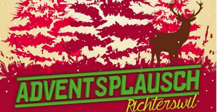 raum-art-adventsplausch-richterswil-Dezember-2014