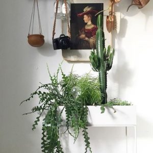 fermliving-raum-art-plantbox